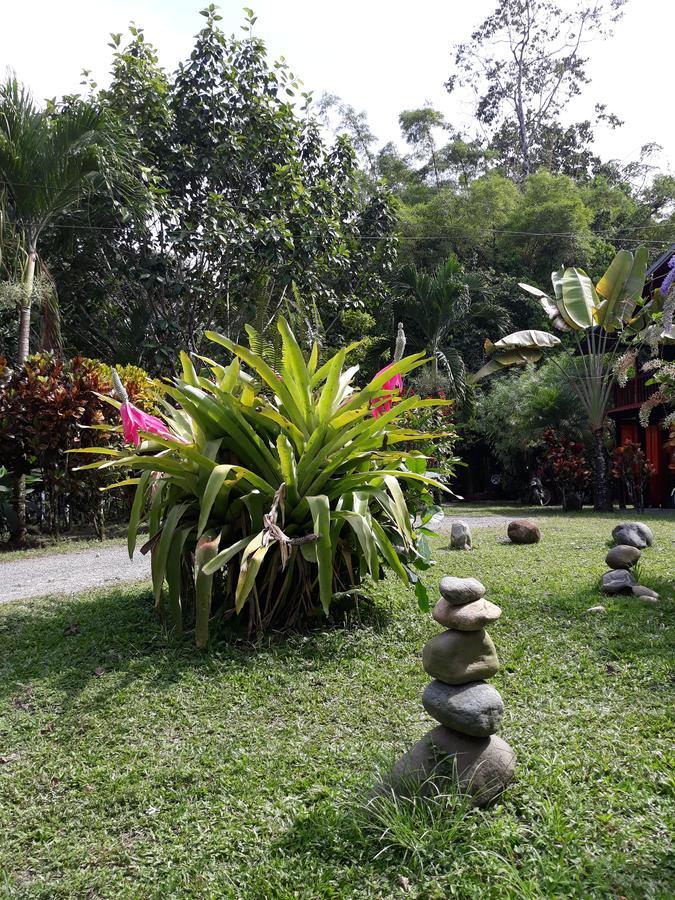 Cabinas Nirvana Ecolodge Cahuita Exterior foto